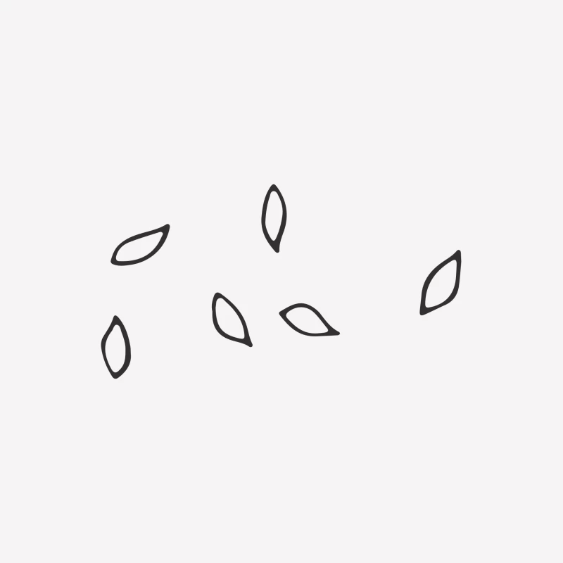 Design minimaliste avec formes feuille Femme T-Shirt