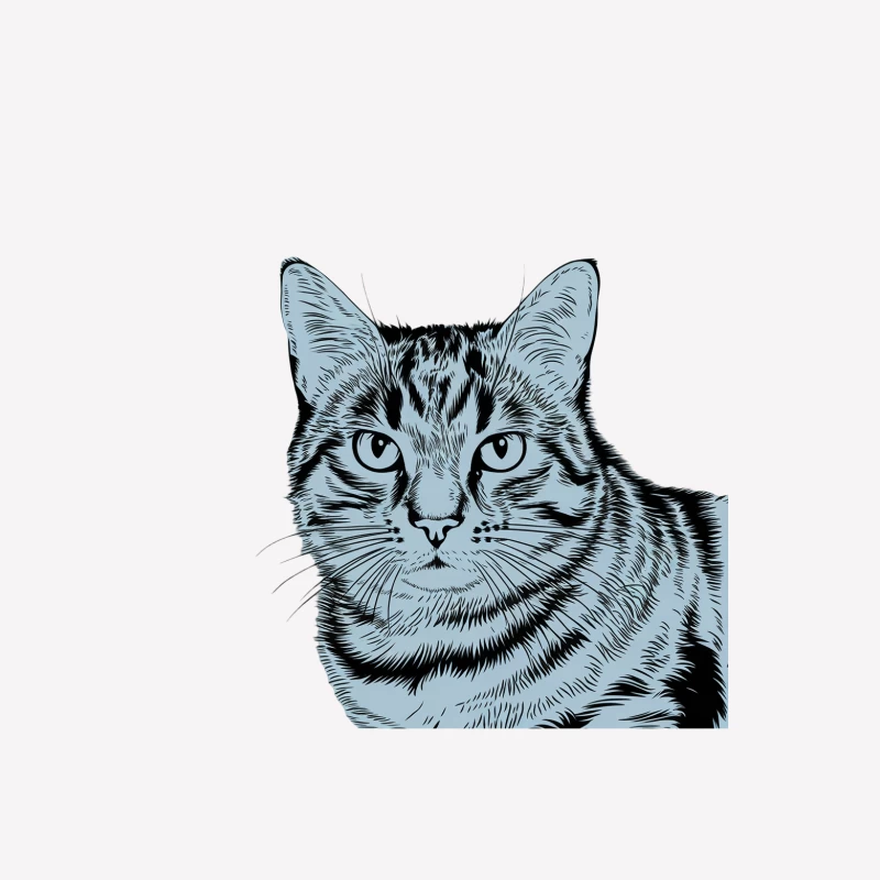 Blue Illustrated Cat Portrait: Feline Pet Close-up Female T-Shirt