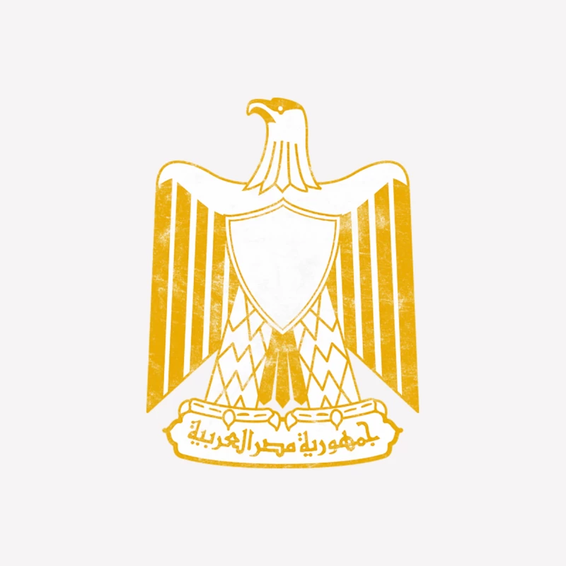 Egypt  Vintage Faded Style Flag Design Female T-Shirt