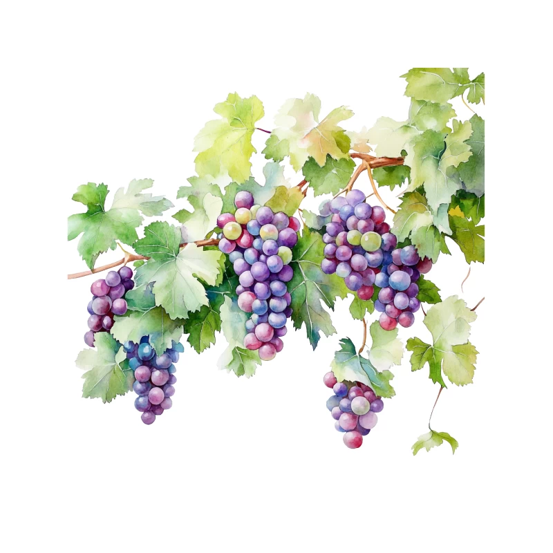 Watercolor Illustration of Purple Grapes and Vine Leaves Tapestry