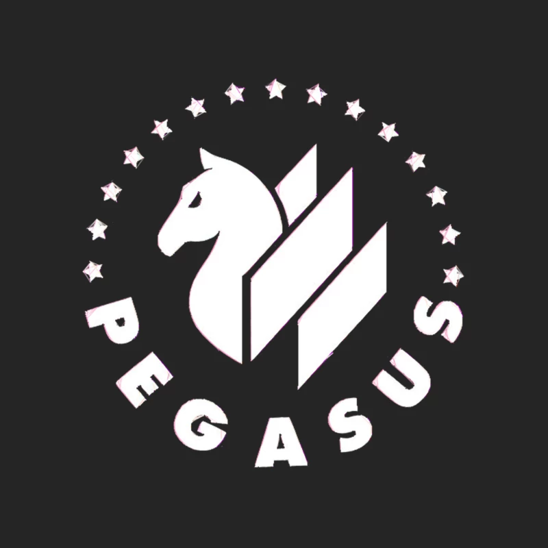 Project Pegasus Female Pullover Sweatshirt