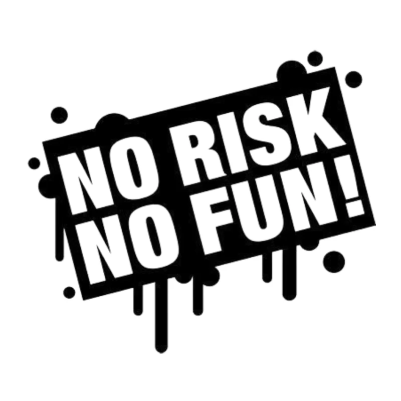 No Risk, No Fun Motivational Graphic Pin