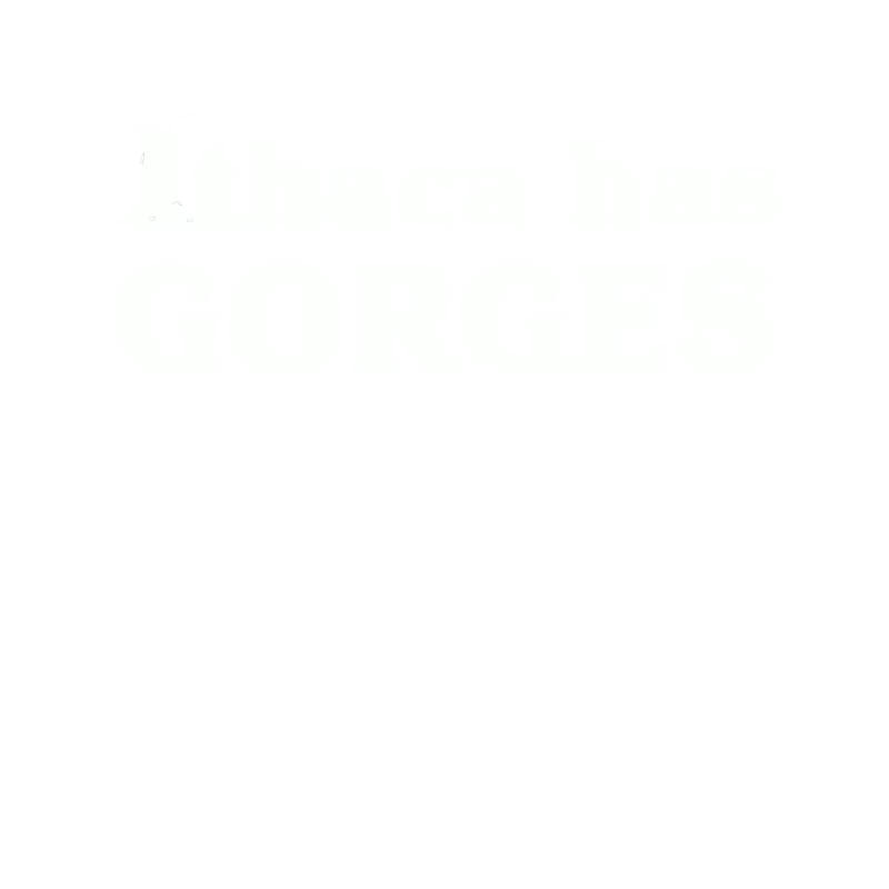 Blank White Canvas: Minimal Clean Empty Space Tapestry