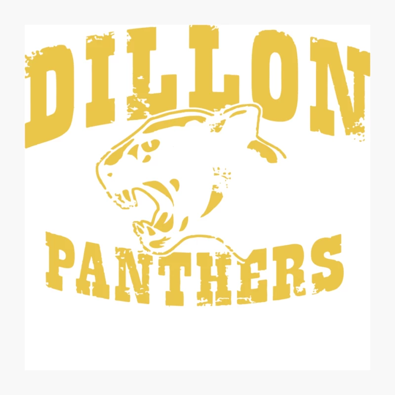 Dillon Panthers Pin