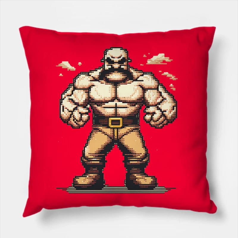  Throw Pillow