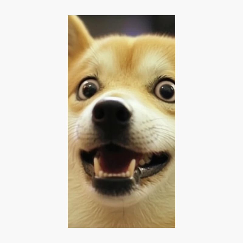 Adorable Smiling Shiba Inu Close-up iPhone Case