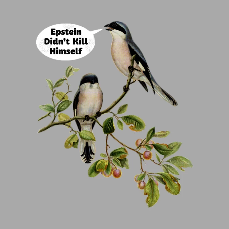 Epstein didn_t kill himself  Vintage Bird - Meme Design Female Pullover Hoodie