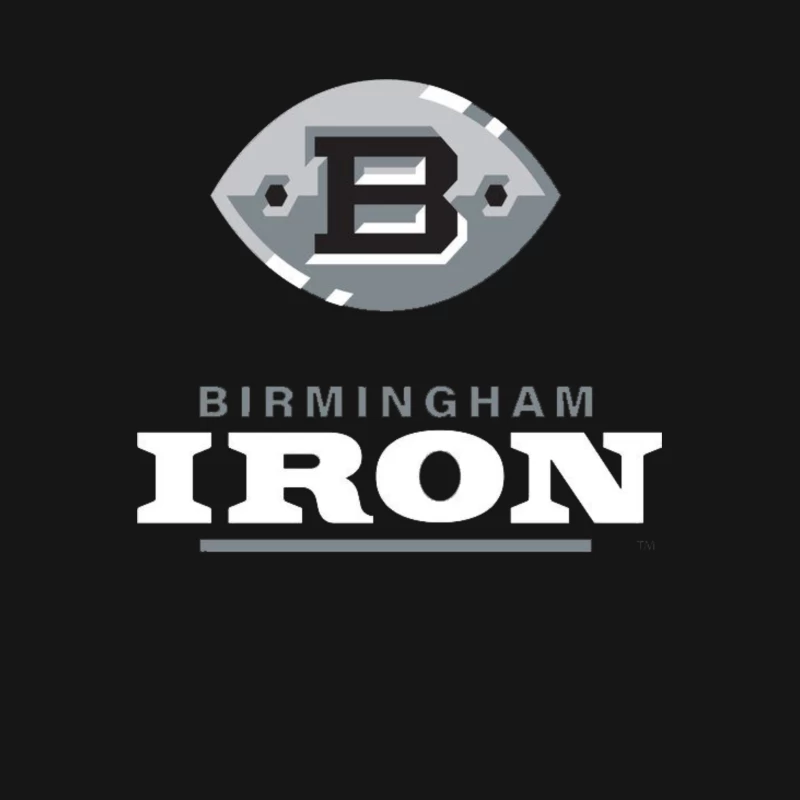 Birmingham Iron AAF Football Male T-Shirt
