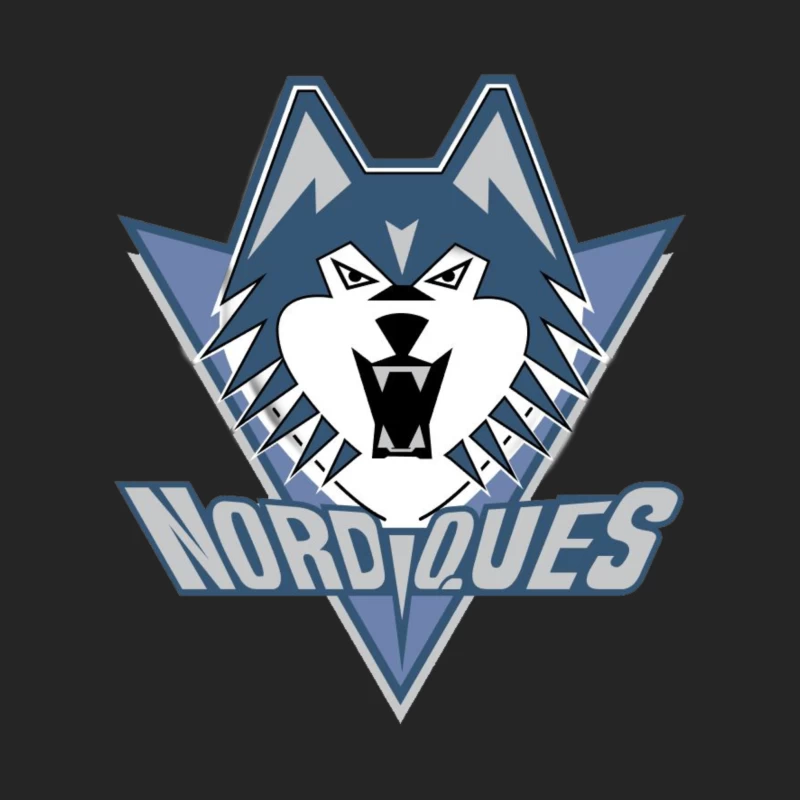 Quebec Nordiques Female Pullover Sweatshirt