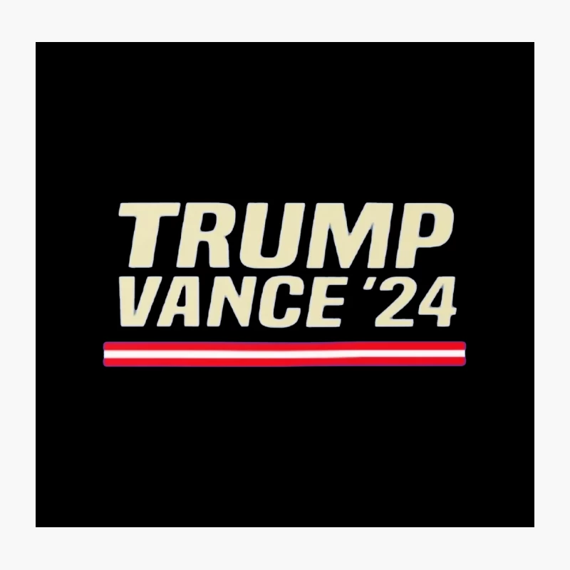 Trump Vance 24 Throw Pillow