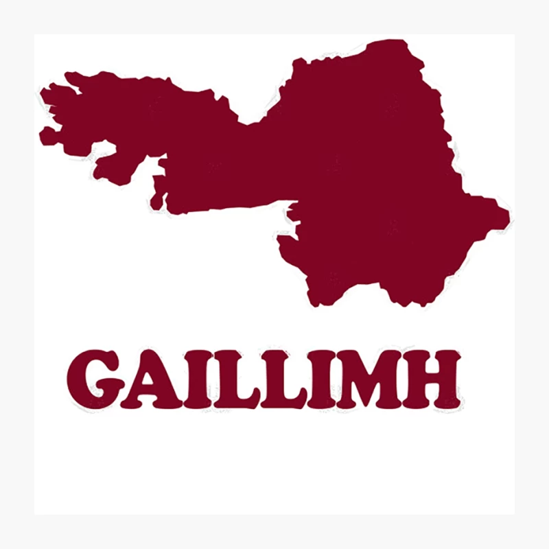 County GalwayGaillimh Irish Pride Pin