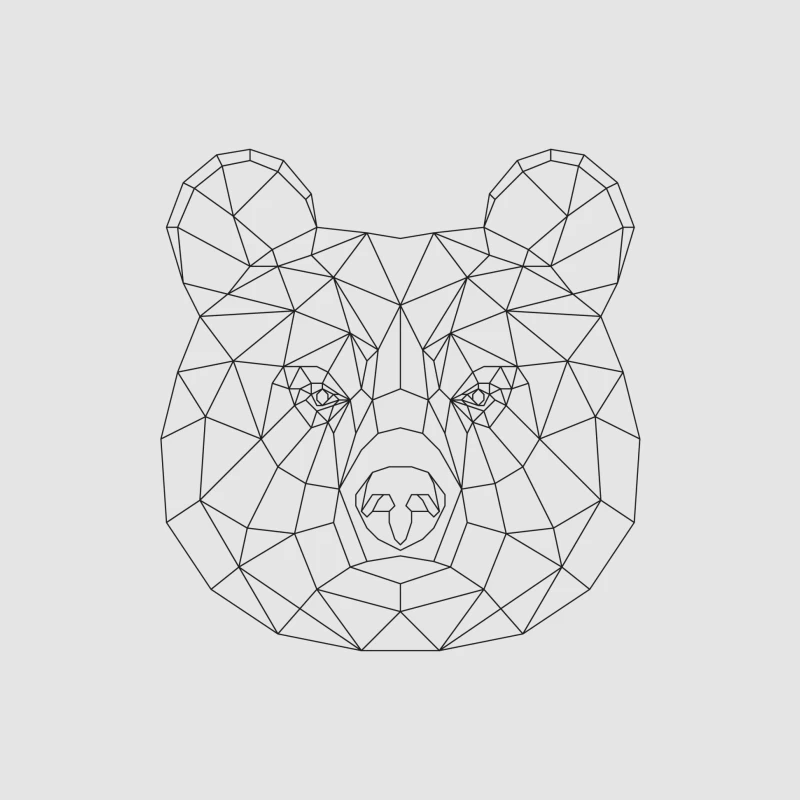 Motif géométrique de tête d'ours Homme Sweat à capuche