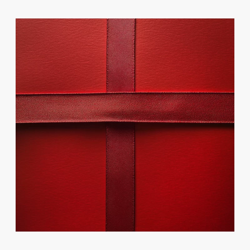 Luxurious Red Leather Accessory with Minimalist Strap Design Throw Pillow