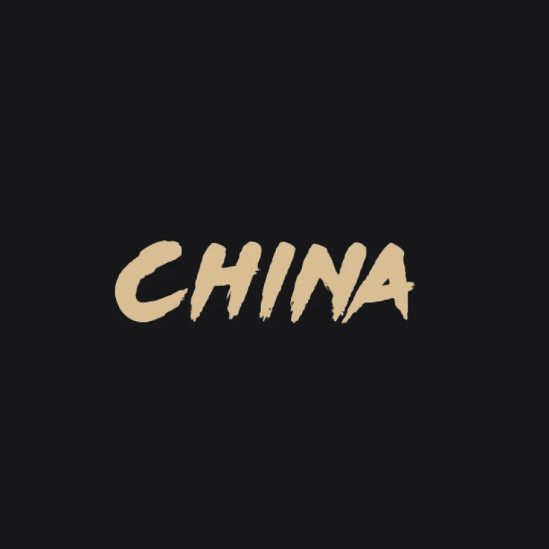 Texte CHINA en Beige Homme Sweat à capuche