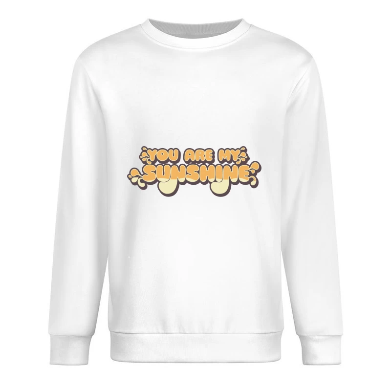 Bunter Schriftzug 'Du bist mein Sonnenschein' Herren Pullover Sweatshirt