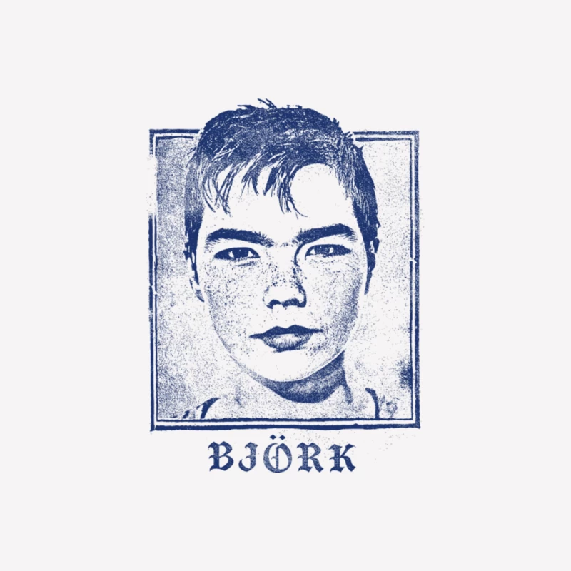 Bjork  Vintage Look Fan Art Design Female T-Shirt