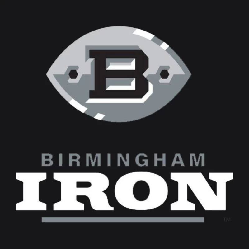 Birmingham Iron AAF Football Male Pullover Hoodie