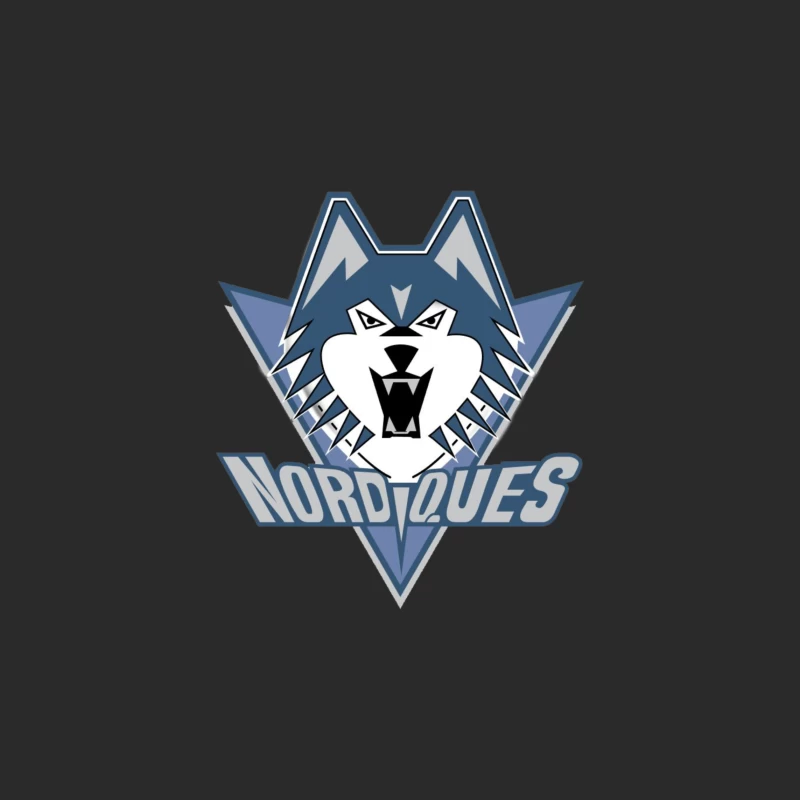 Quebec Nordiques Baseball Cap