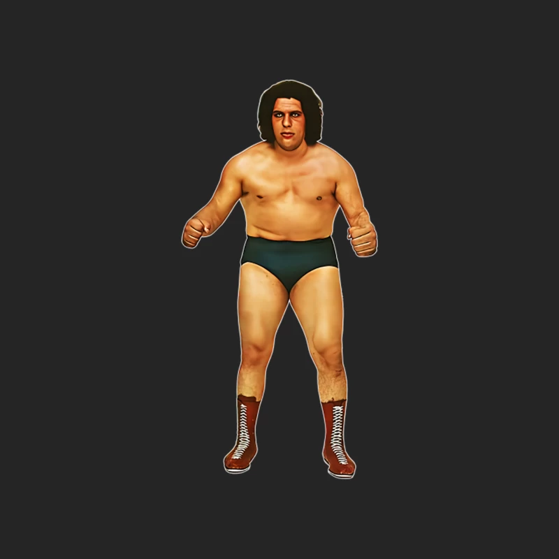Andre The Giant Female Pullover Sweatshirt