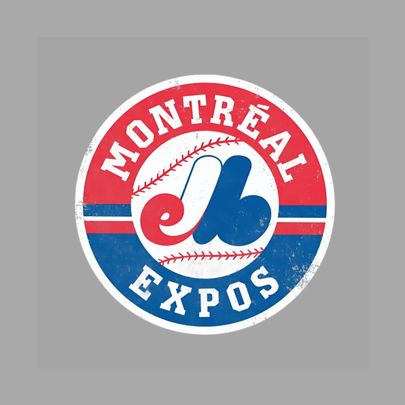 Defunct Montreal Expos Baseball Vintage Female Pullover Hoodie