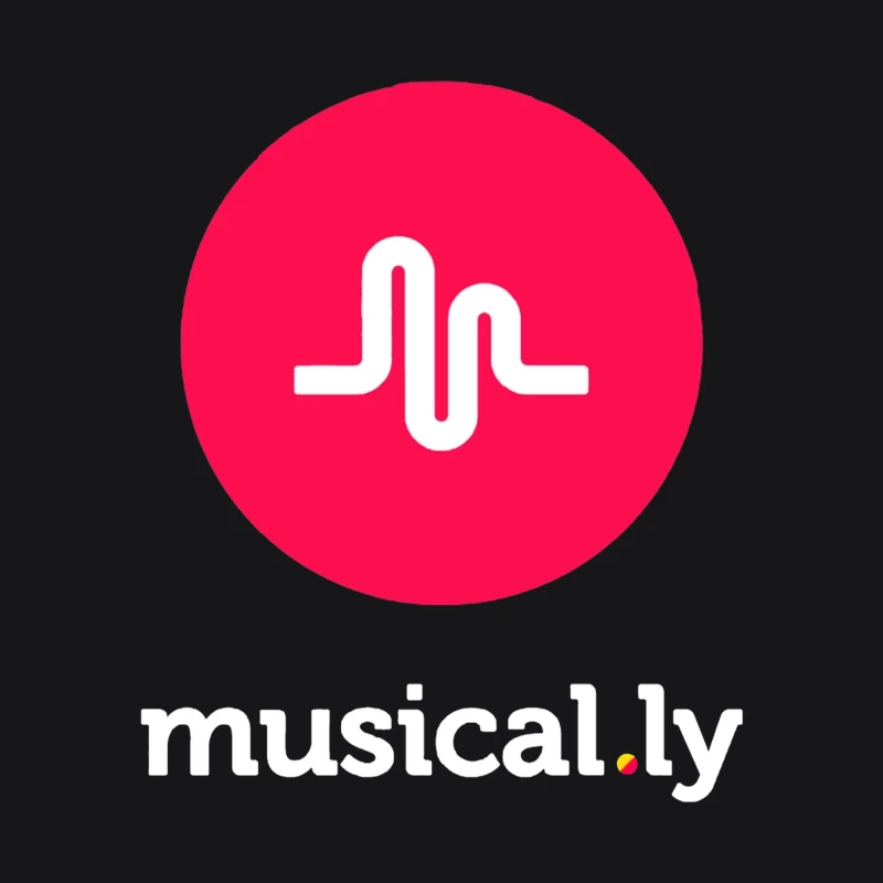 Musical.ly Social Media App Logo Design Male Pullover Hoodie