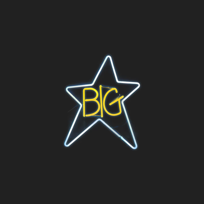 Big Star 1 Record Bucket Hat