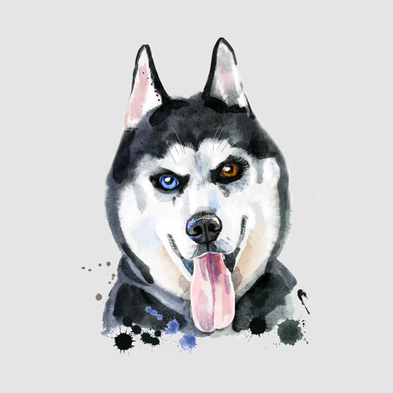 Portrait aquarelle de husky avec yeux hétérochromes Homme Sweat à capuche