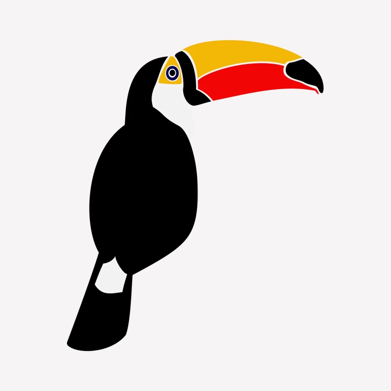 Illustration d'un toucan coloré Femme T-Shirt