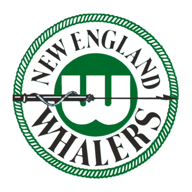 New England Whalers Pin