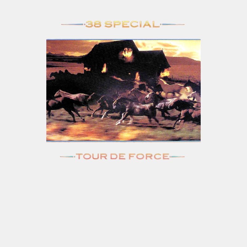 24 TOUR DE FORCE - 38 SPECIAL BAND Male Tank Top