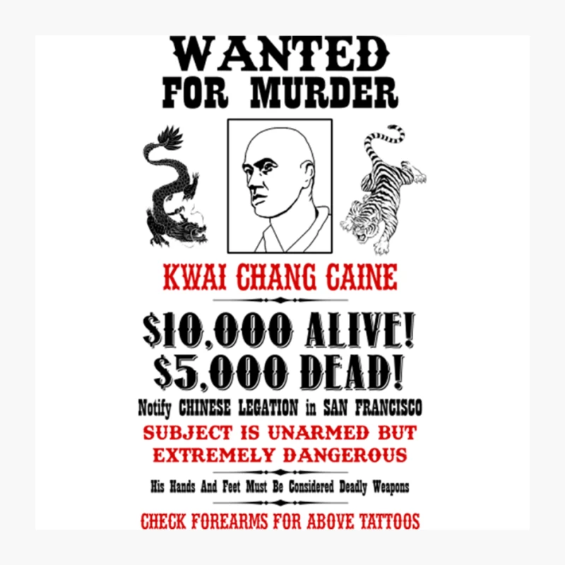 Kung Fu Wanted Poster Pin