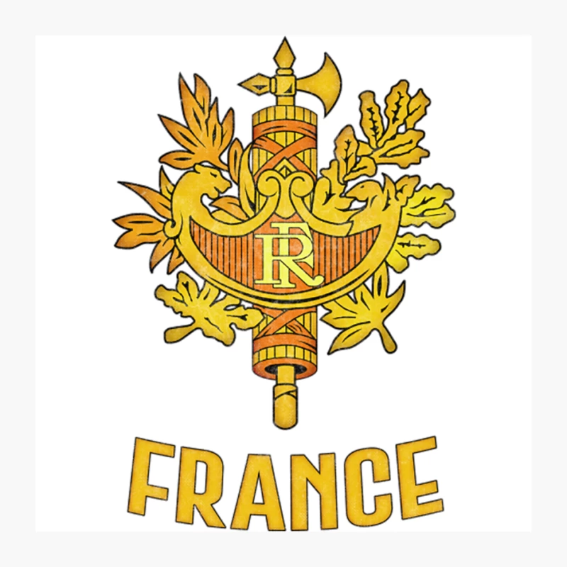 France   Faded Style Coat of Arms Emblem Design Pin