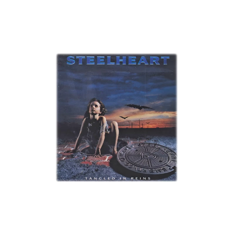 1 STEELHEART Tapestry