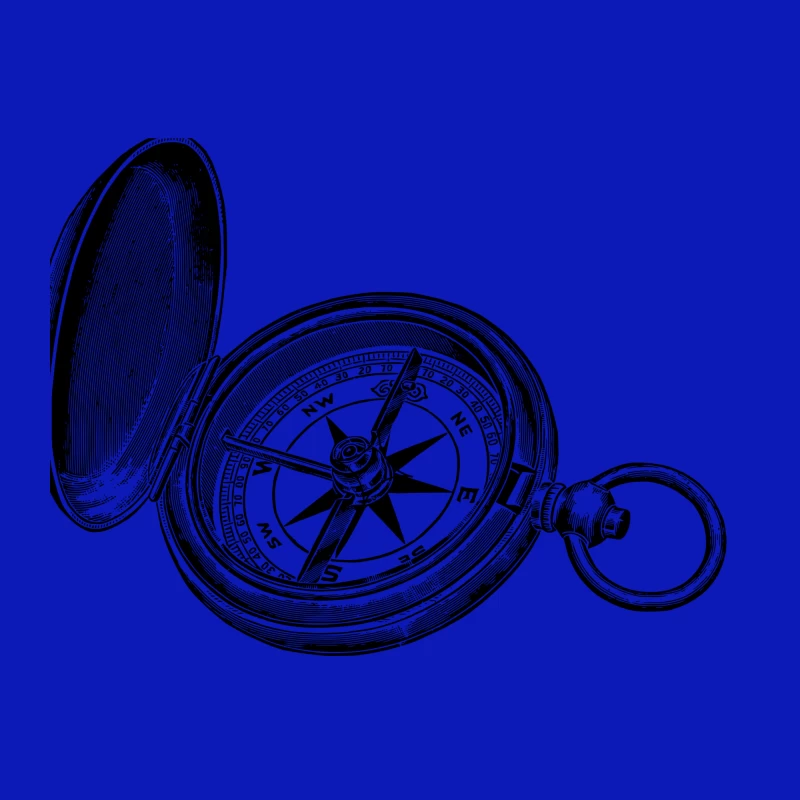 Compass Throw Pillow