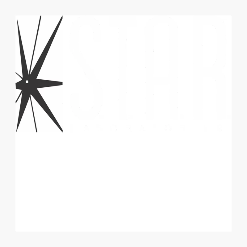 Minimalist Black and White Geometric Star Design Pin