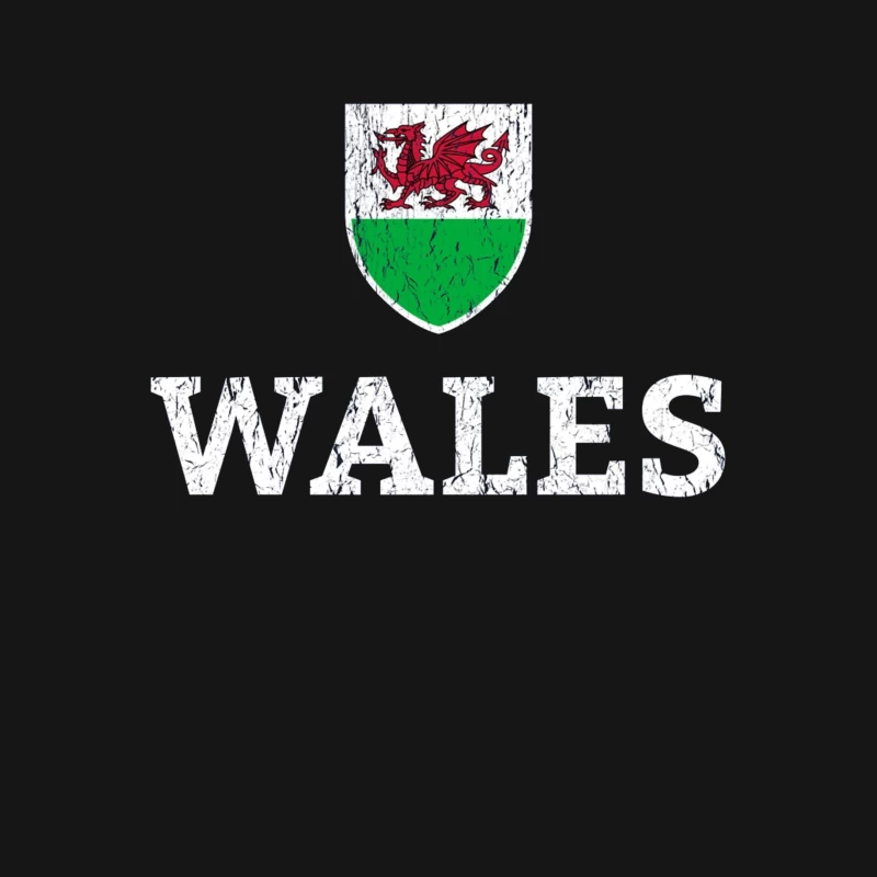 Welsh Dragon Shield with Distressed Text Design Male T-Shirt