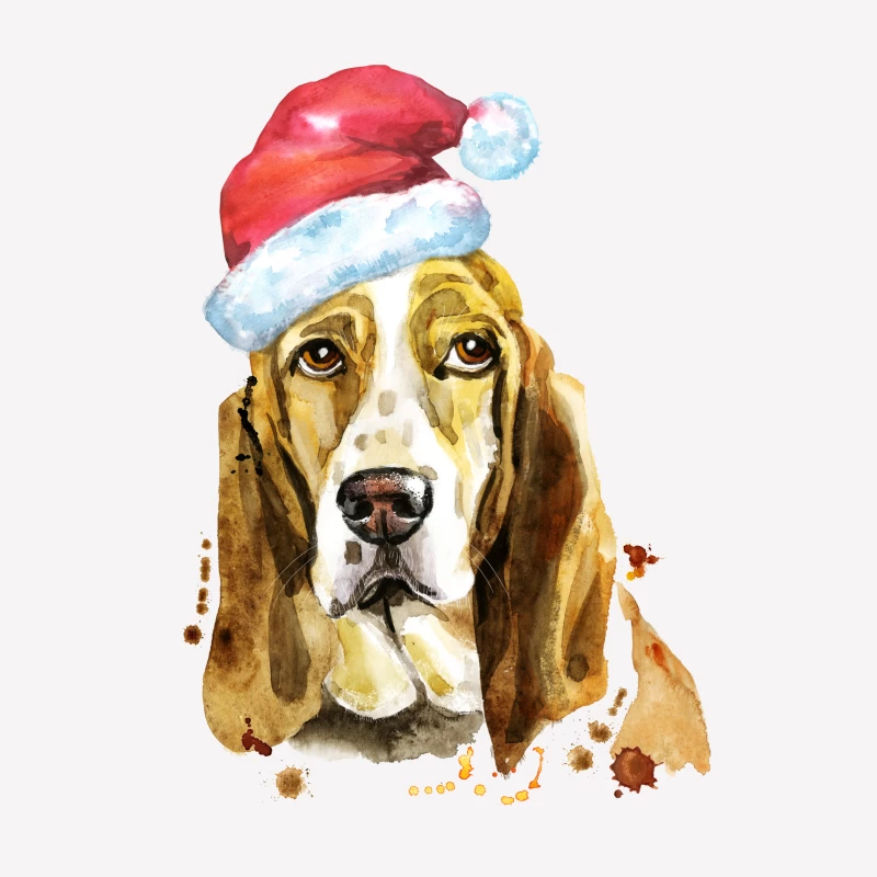 Basset Hound avec Chapeau de Noël Femme T-Shirt