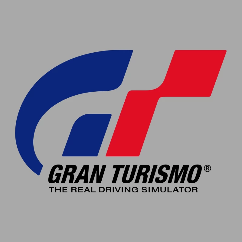 Gran Turismo Male Pullover Hoodie
