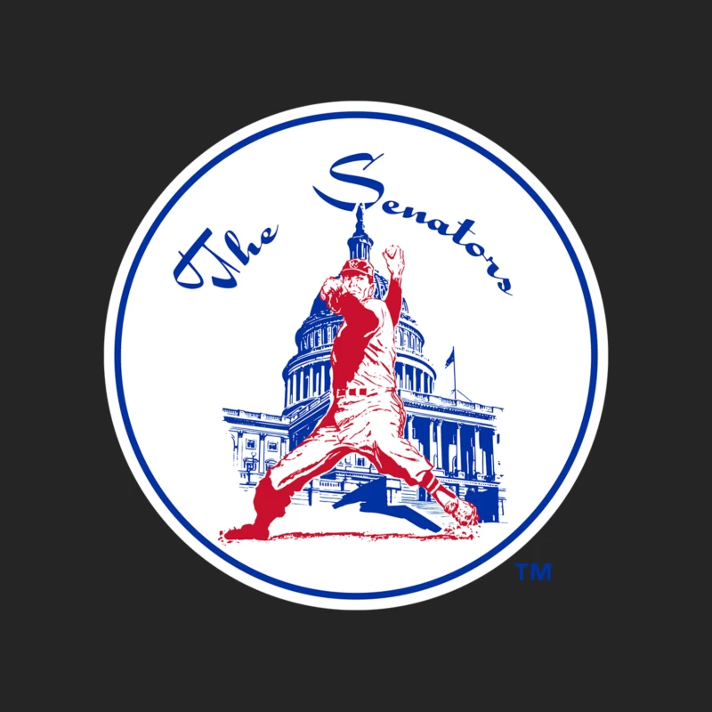 Washington Senators Baseball Club Male Pullover Sweatshirt