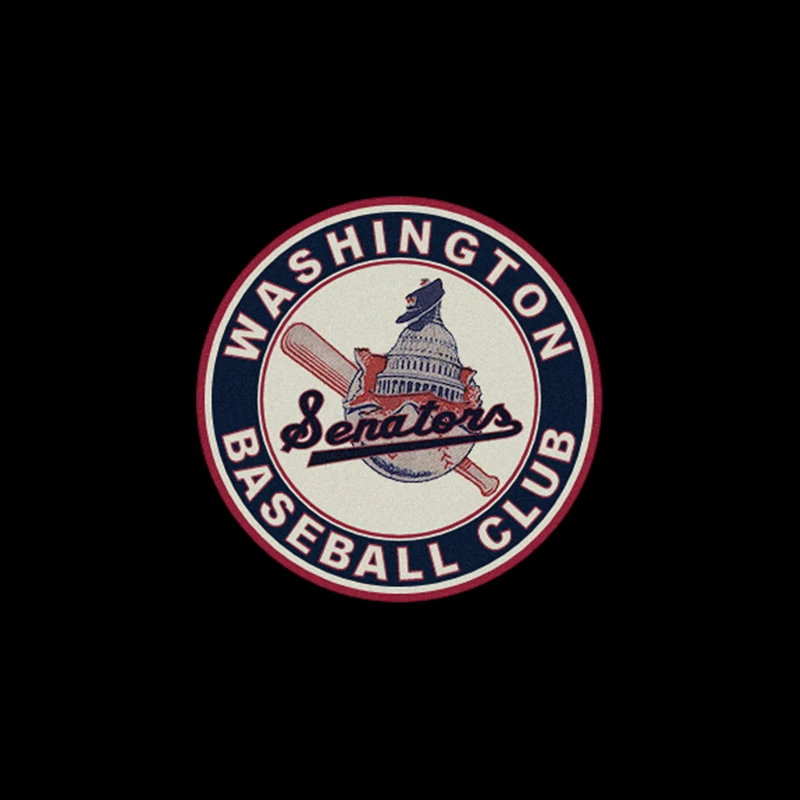 Washington Senators Baseball Club 2 Tapestry