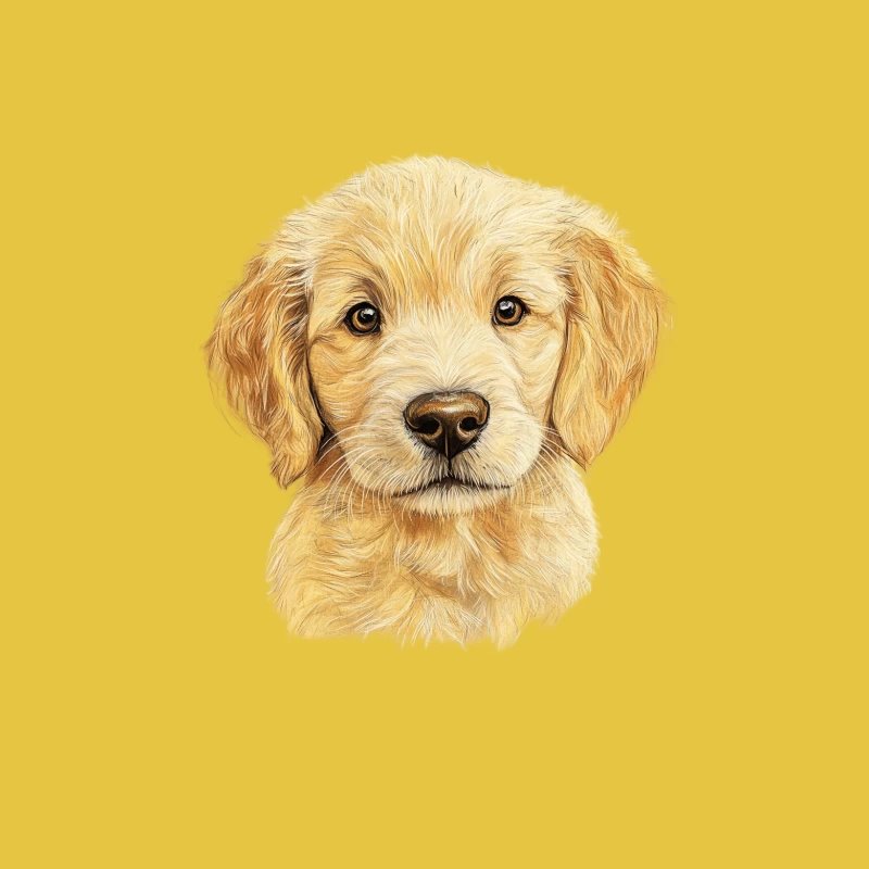 Sweet Golden Retriever Puppy Portrait Illustration Female T-Shirt