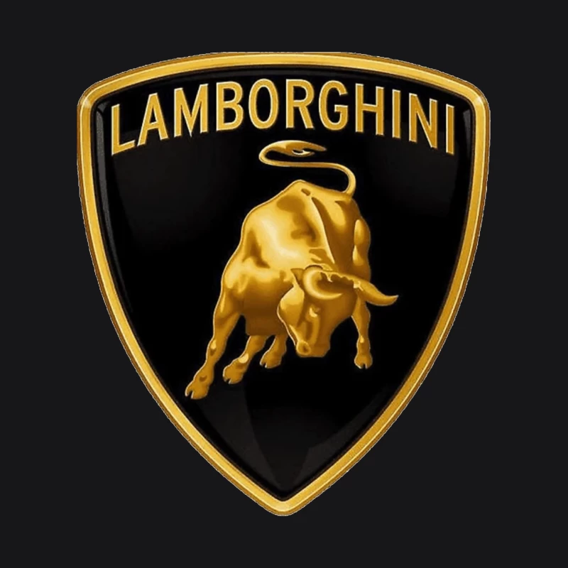 Lamborghini Luxury Automotive Brand Logo with Golden Bull Emblem Male Pullover Hoodie