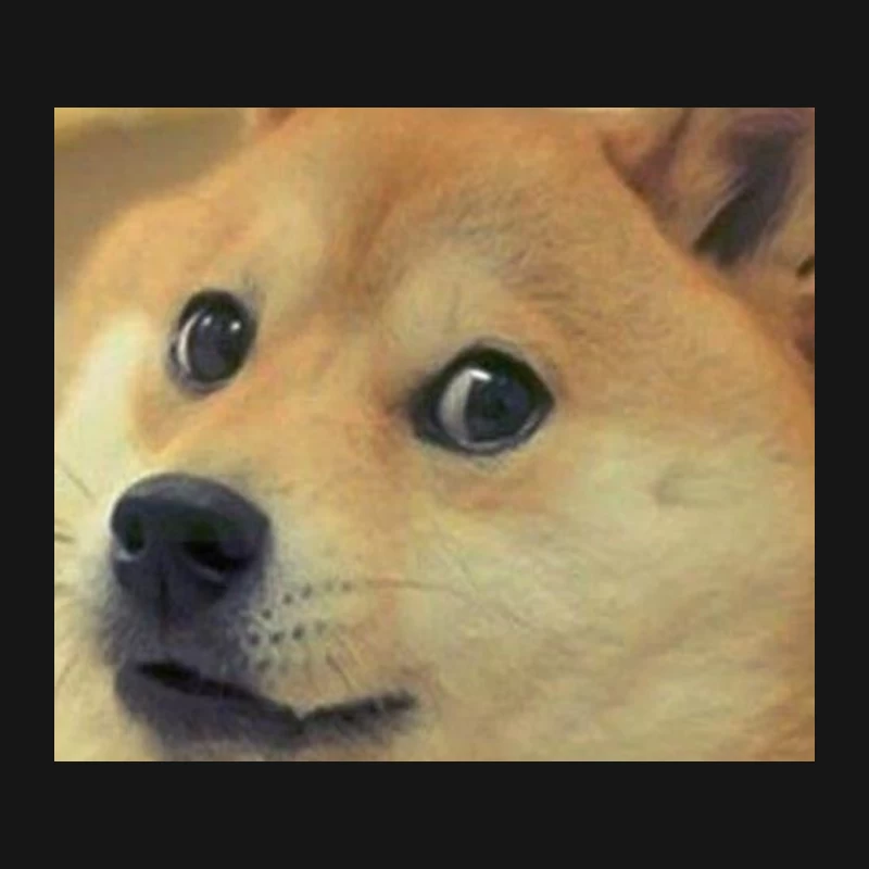 Iconic Doge Meme: Close-up of Shiba Inu Dog Mouse Pad