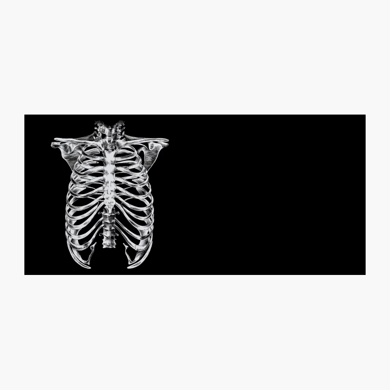 skeleton ribcage anatomy medical illustration black and white human body bones ches Coffee Mug