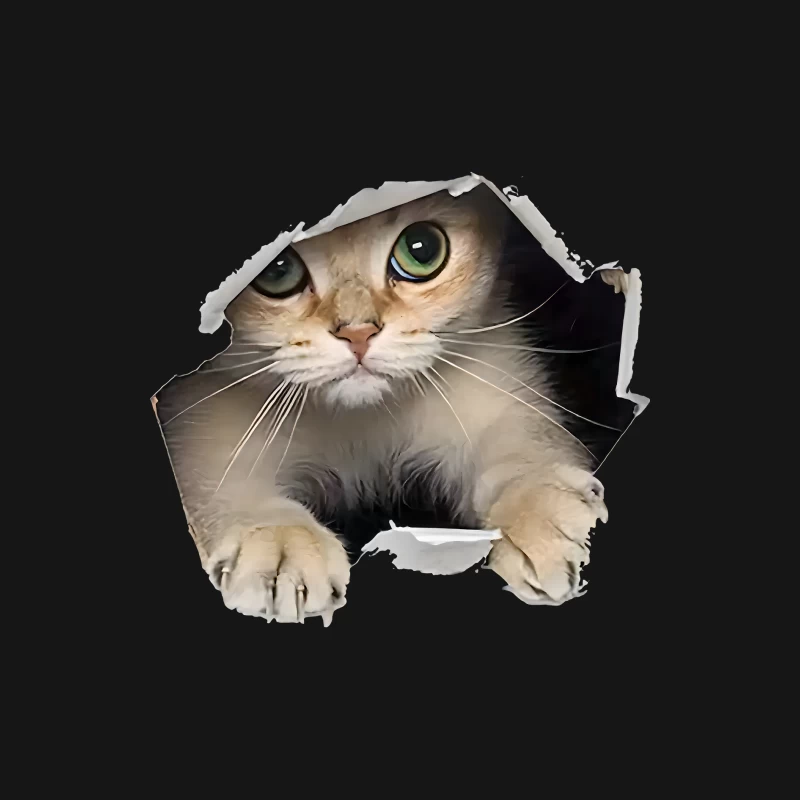 Kätzchen schaut durch ein Loch Herren Langarm T-Shirt