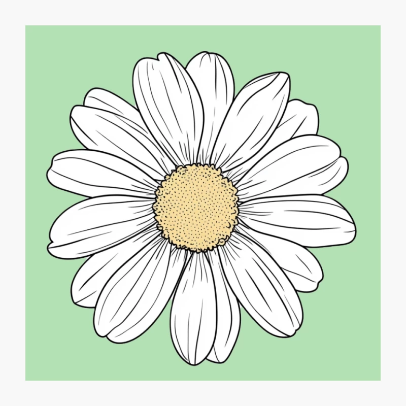 Simple Line Drawing of a Daisy with White Petals and Yellow Center Pin