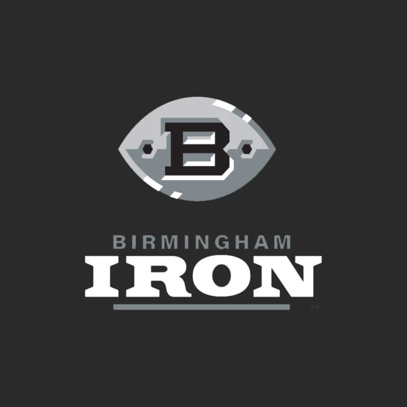 Birmingham Iron AAF Football Baseball Cap