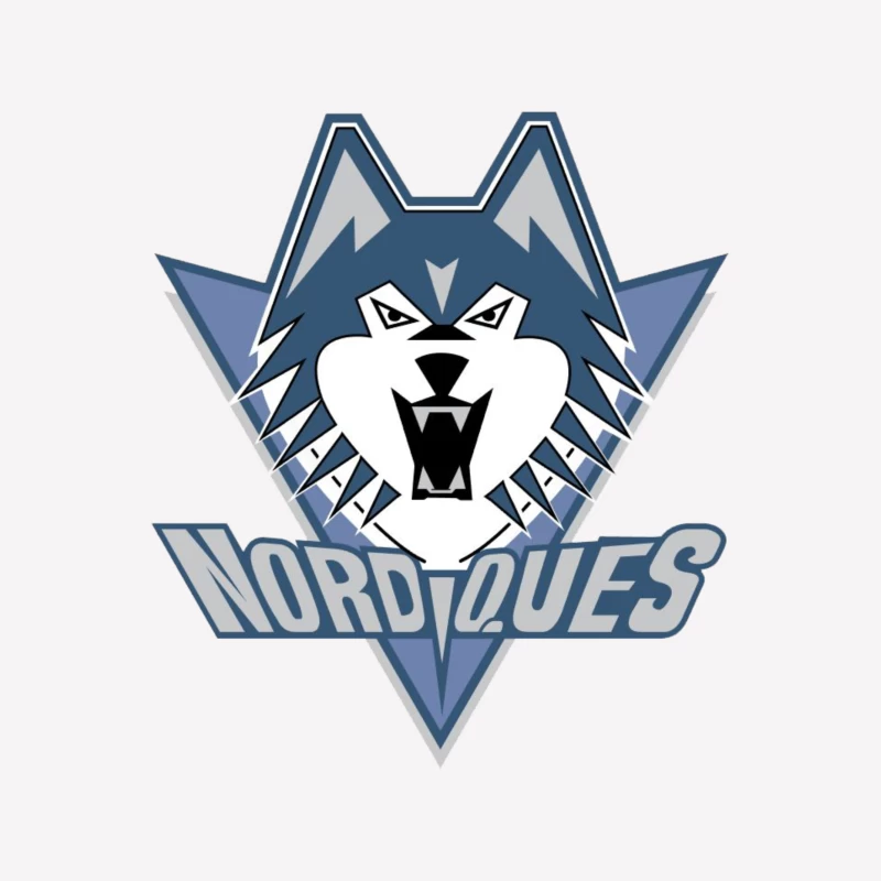 Quebec Nordiques Female T-Shirt