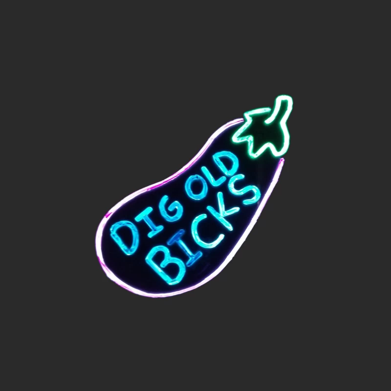 Dig Old Bicks Retro Baseball Cap