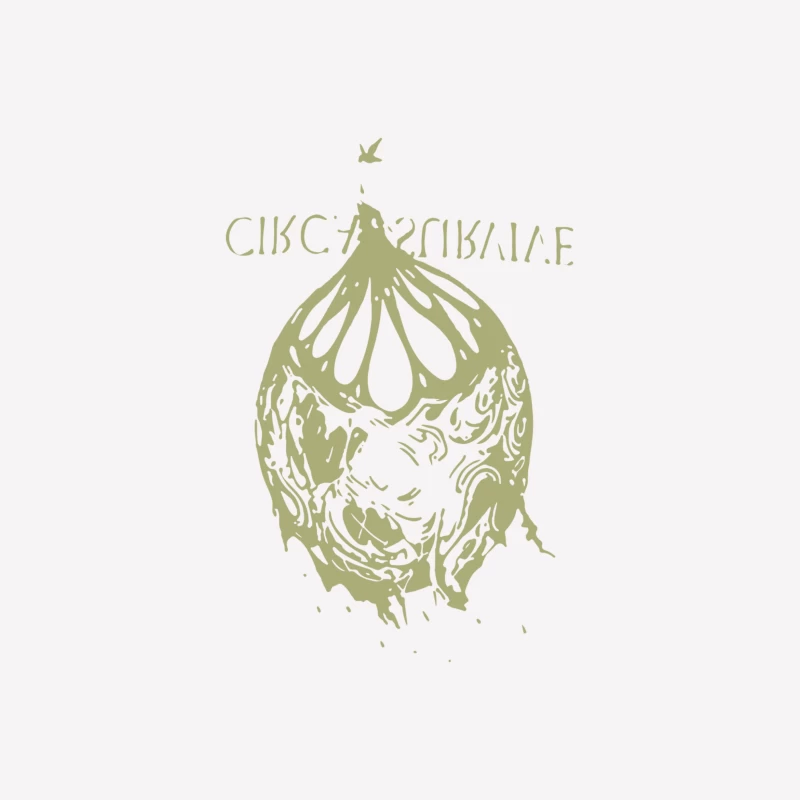 Circa Survive Female T-Shirt